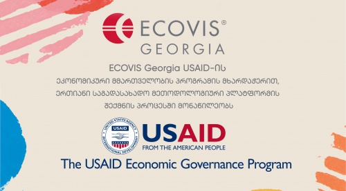 ECOVIS Georgia participates in the process of creating a unified tax technology platform